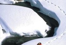 Snowshoe - Natural Mystic